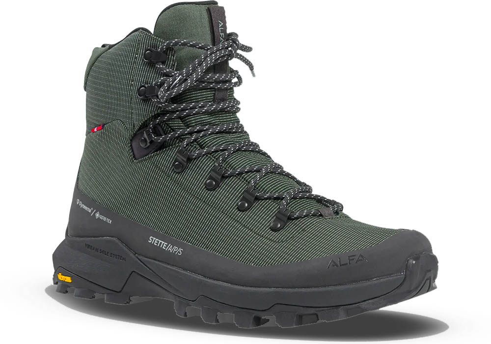 Мъжки туристически обувки ALFA Stette APS GTX M Black