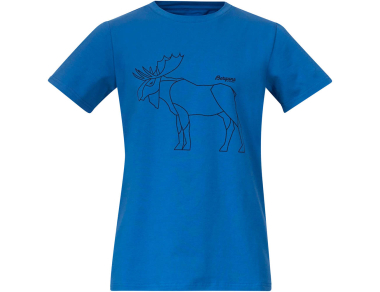 Детска тениска Bergans Graphic Youth Tee Athens Blue / Navy Blue