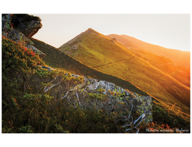 Подарете частица красота от българската природа. Насладете се на гледки от различни краища на България. Вземете сега на campingrocks.bg или от физическия магазин на ул. Николай Хайтов 2Б