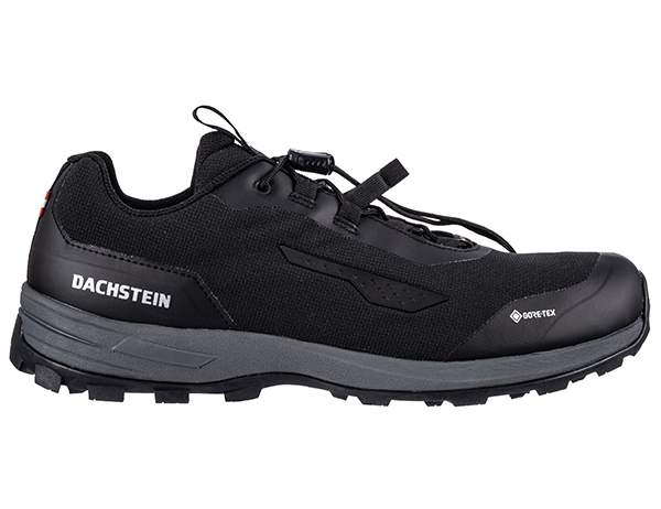 Мъжки спортно-туристически обувки Dachstein Delta Rise 2.0 GTX Black 2022